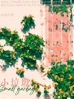 小垃圾 免费阅读