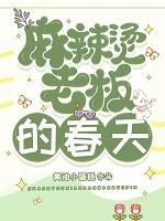 麻辣烫老板的春天TXT免费笔趣阁