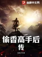 偷香高手后传(无辰少年)