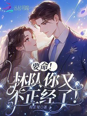 林队长是什么电视剧
