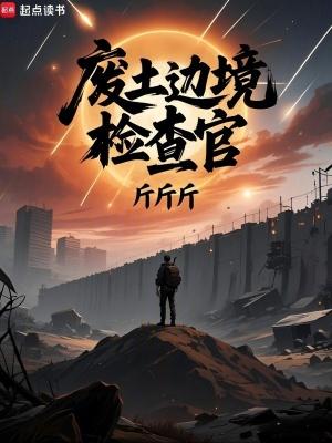 废土边境检查官电子书