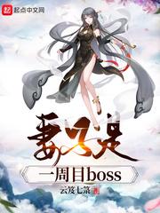 妻子是一周目boss 好看吗