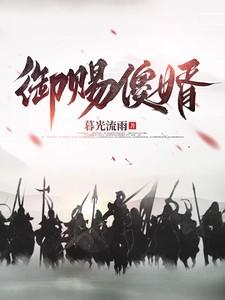 御赐傻婿免费观看全集