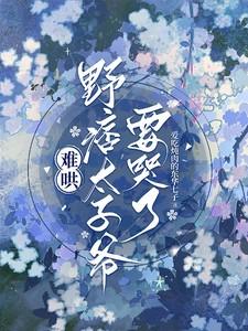 野痞太子爷要哭了TXT