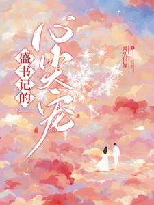 盛书记的心尖宠晋江