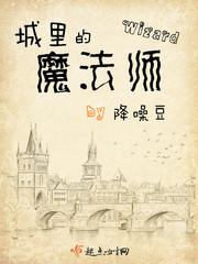 城里的魔法师是双男主吗