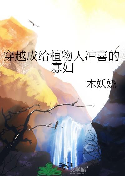 穿成给植物人冲喜的寡妇笔趣阁
