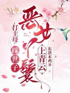 恶女丫鬟上青云全文宁司寒林