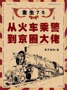 重生75从火车乘警到京圈大佬免费观看