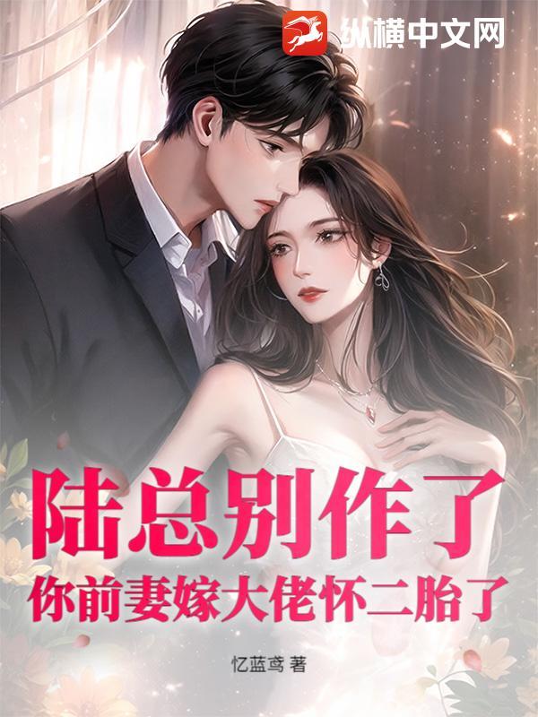 陆总别虐 陆总别虐