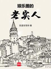 娱乐圈的老实人免费阅读