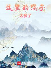 这里有猴子英文