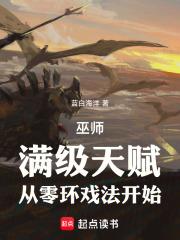 巫师打法 巫师打法