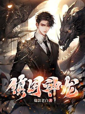 镇国神龙短剧24