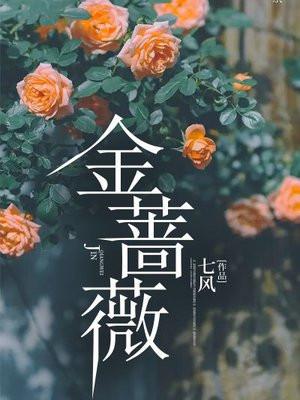 金蔷薇的作者是哪国人