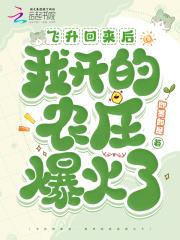 飞升之后