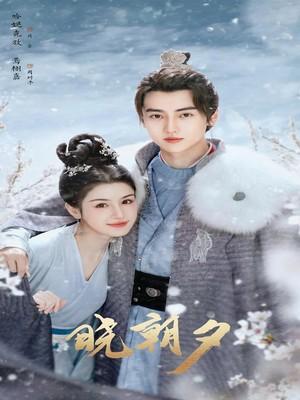 晓朝夕电视剧免费观看共多少集