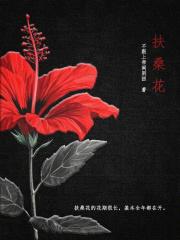 扶桑花为什么总是掉花苞