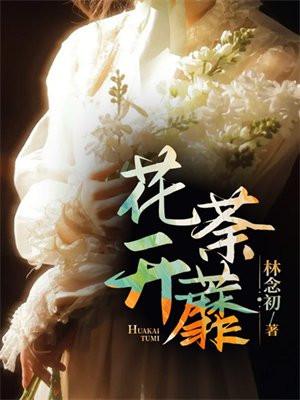 叶落彼岸是什么意思