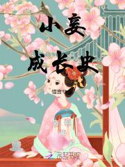 小妾修成日记