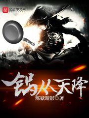 锅从天降全集