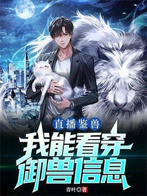 直播我有鉴宝系统