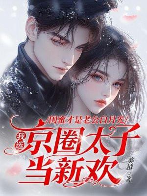 书名闺蜜老公