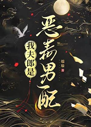 我夫郎是恶毒男配全文阅读